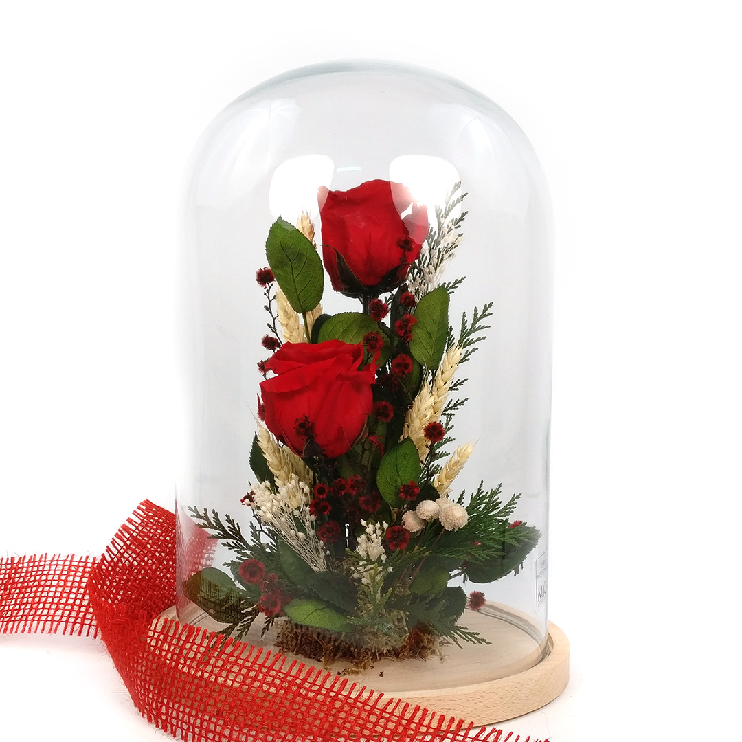 Cúpula de rosas preservadas - Seral Floristas